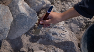 excavations at nahal ein gev