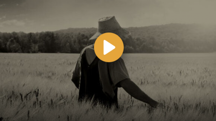 The transition to agriculture