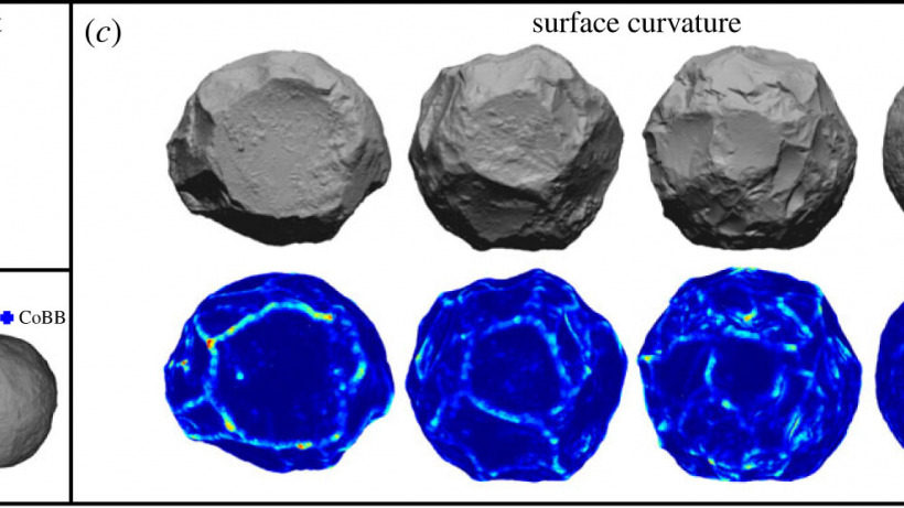 article selected as top 5 papers for 2023